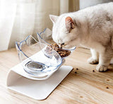 Elevated Cat Bowl