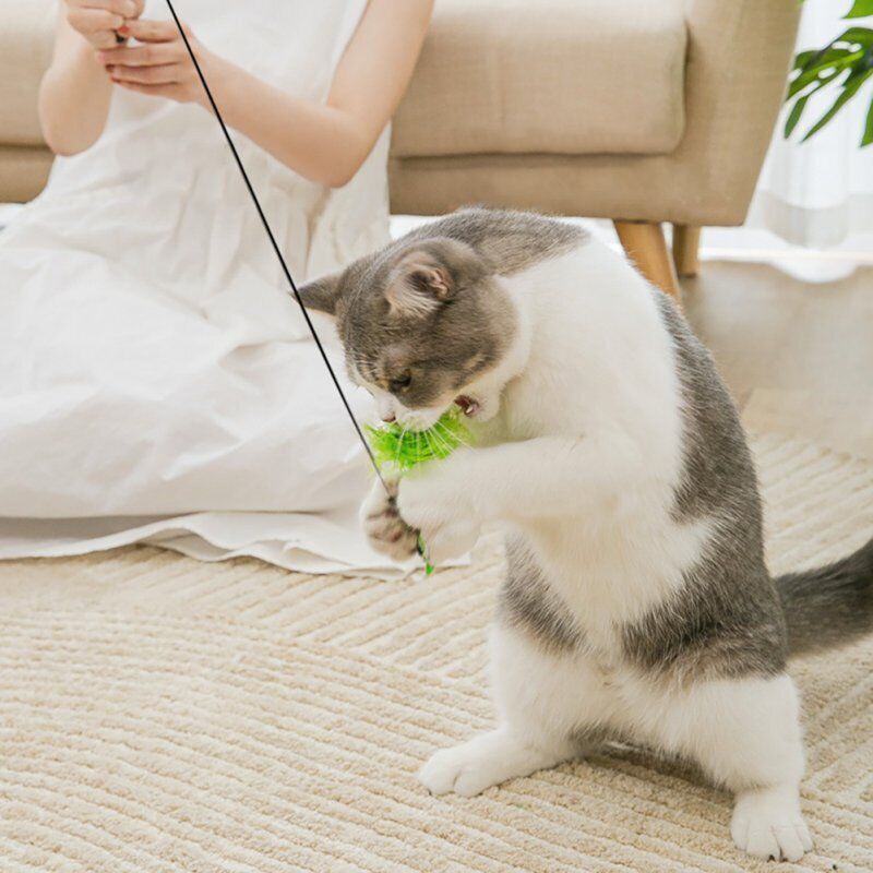 Wild Bird Cat Toy