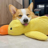 Dog Toy (Mellow Duck)