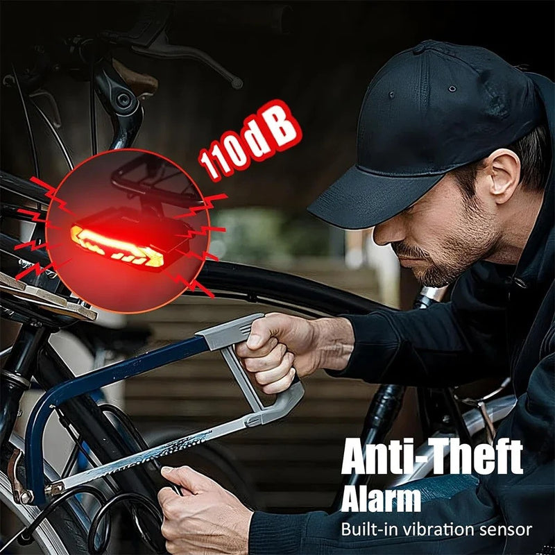 Anti-Theft Rear Bike Light