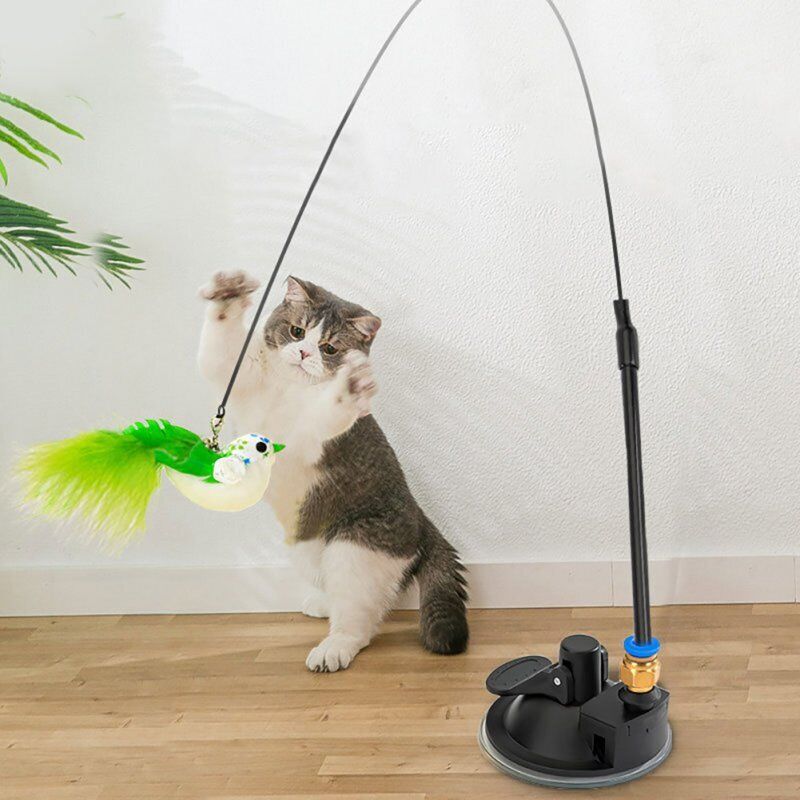 Wild Bird Cat Toy