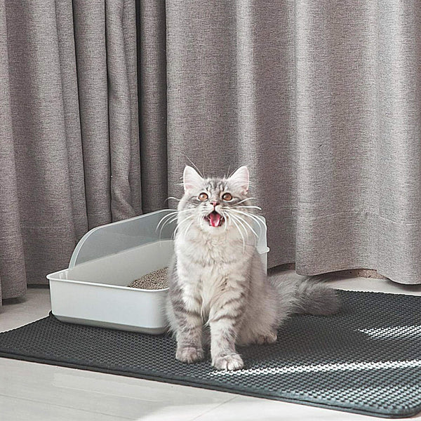 Kitty Litter mat