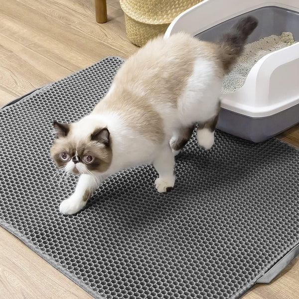 Kitty Litter mat